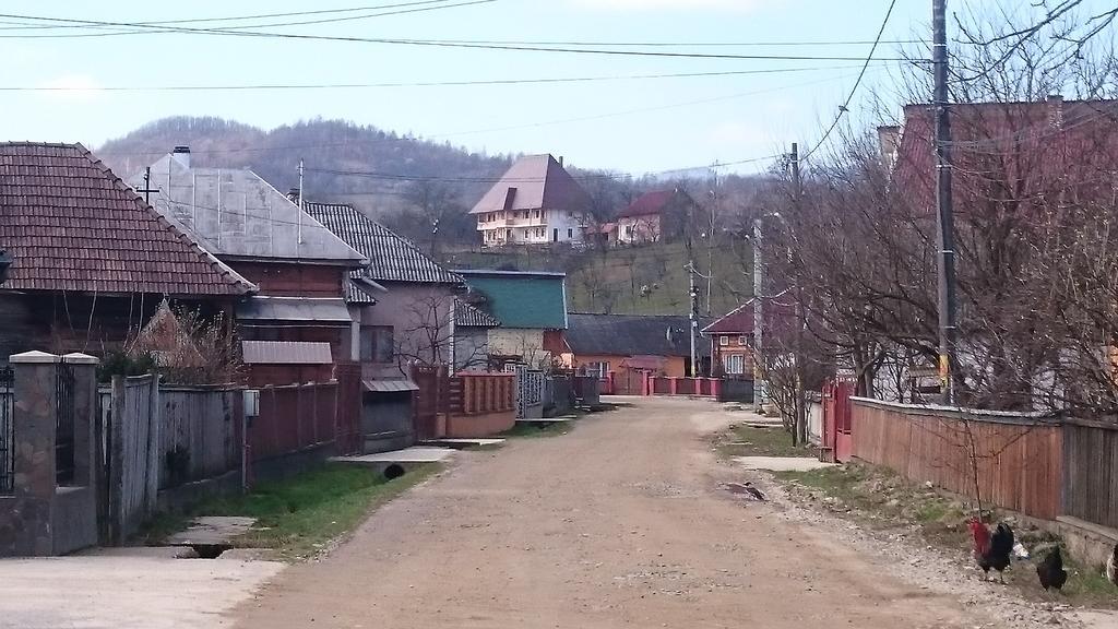 Pensiunea Agroturistica Raluca Vadu Izei Bagian luar foto